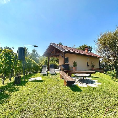 Holiday House Tomajna Podlehnik Luaran gambar